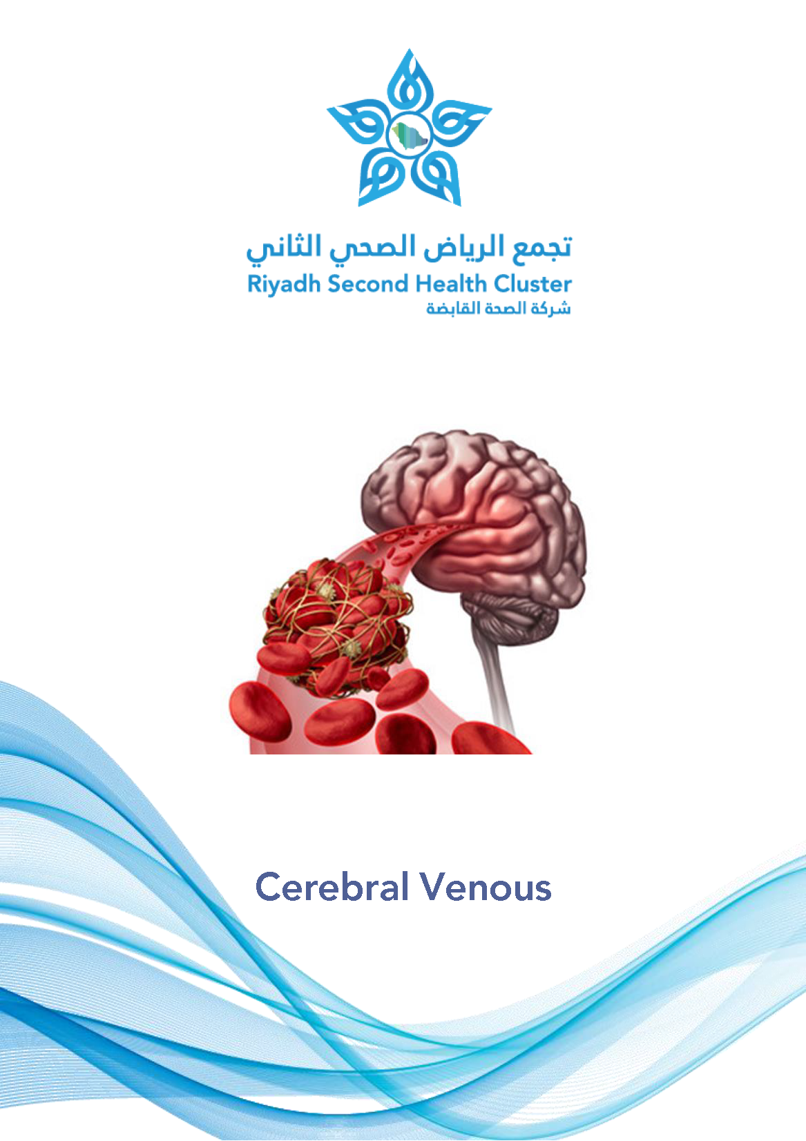 HEM1.23.0001541 Cerebral Venous Thrombosis EN.pdf